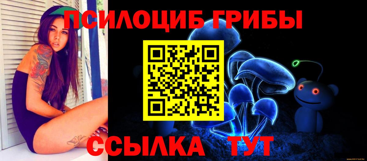 Псилоцибиновые грибы Psilocybe  Вход с VPN  Южноуральск 
