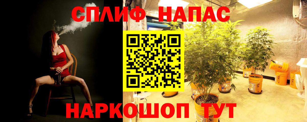 Конопля конопля  Бошки Шишки VHQ  Южноуральск  Шишки марихуана план  Вход с VPN 